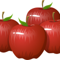 APP下载XML零广告干扰版-APP下载XMLAPP下载安装IOS/安卓/手机版/官方入口在线